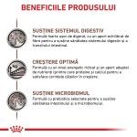 ROYAL CANIN Gastrointestinal Puppy, XS-XL, dieta veterinara, conserva hrana umeda caini junior, sistem digestiv, (pasta fina), 195 g (Diete Veterinare - Caini)