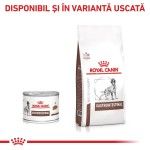 ROYAL CANIN Gastrointestinal, XS-XL, dieta veterinara, conserva hrana umeda caini, sistem digestiv, (pate), 200 g (Diete Veterinare - Caini)