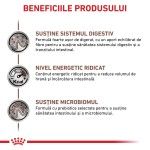 ROYAL CANIN Gastrointestinal, XS-XL, dieta veterinara, conserva hrana umeda caini, sistem digestiv, (pate), 400 g (Diete Veterinare - Caini)