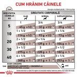 ROYAL CANIN Gastrointestinal, XS-XL, dieta veterinara, conserva hrana umeda caini, sistem digestiv, (pate), 400 g (Diete Veterinare - Caini)