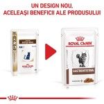 ROYAL CANIN Gastrointestinal, dieta veterinara, plic hrana umeda pisici, sistem digestiv, (in sos), 85 g (Diete Veterinare - Pisici)