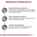 ROYAL CANIN Gastrointestinal, dieta veterinara, plic hrana umeda pisici, sistem digestiv, (in sos), 85 g (Diete Veterinare - Pisici)