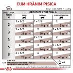 ROYAL CANIN Gastrointestinal, dieta veterinara, plic hrana umeda pisici, sistem digestiv, (in sos), 85 g (Diete Veterinare - Pisici)