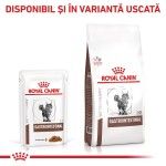 ROYAL CANIN Gastrointestinal, dieta veterinara, plic hrana umeda pisici, sistem digestiv, (in sos), 85 g (Diete Veterinare - Pisici)