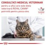 ROYAL CANIN Gastrointestinal, dieta veterinara, plic hrana umeda pisici, sistem digestiv, (in sos), 85 g (Diete Veterinare - Pisici)