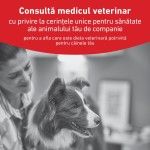 ROYAL CANIN Glycobalance S, dieta veterinara, hrana uscata caini, talie mica, 4 kg (Diete Veterinare - Caini)