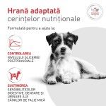 ROYAL CANIN Glycobalance S, dieta veterinara, hrana uscata caini, talie mica, 1.5 kg (Diete Veterinare - Caini)