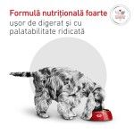 ROYAL CANIN Glycobalance S, dieta veterinara, hrana uscata caini, talie mica, 1.5 kg (Diete Veterinare - Caini)
