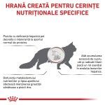 ROYAL CANIN Hepatic, dieta veterinara pisici, suport hepatic, 4 kg (Diete Veterinare - Pisici)