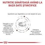 ROYAL CANIN Hepatic, dieta veterinara pisici, suport hepatic, 4 kg (Diete Veterinare - Pisici)