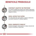 ROYAL CANIN Hepatic, dieta veterinara pisici, suport hepatic, 4 kg (Diete Veterinare - Pisici)