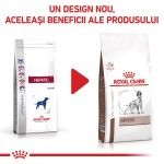 ROYAL CANIN Hepatic, XS-XL, dieta veterinara, hrana uscata caini, suport hepatic, 1.5 kg (Diete Veterinare - Caini)