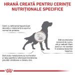 ROYAL CANIN Hepatic, XS-XL, dieta veterinara, hrana uscata caini, suport hepatic, 1.5 kg (Diete Veterinare - Caini)