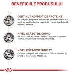 ROYAL CANIN Hepatic, XS-XL, dieta veterinara, conserva hrana umeda caini, suport hepatic, (pate), 200 g (Diete Veterinare - Caini)