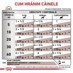 ROYAL CANIN Hepatic, XS-XL, dieta veterinara, conserva hrana umeda caini, suport hepatic, (pate), 200 g (Diete Veterinare - Caini)