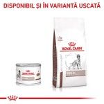 ROYAL CANIN Hepatic, XS-XL, dieta veterinara, conserva hrana umeda caini, suport hepatic, (pate), 200 g (Diete Veterinare - Caini)