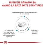 ROYAL CANIN Hypoallergenic, dieta veterinara pisici, alergii alimentare, 400 g (Diete Veterinare - Pisici)