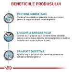 ROYAL CANIN Hypoallergenic, dieta veterinara pisici, alergii alimentare, 400 g (Diete Veterinare - Pisici)