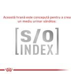 ROYAL CANIN Hypoallergenic, dieta veterinara pisici, alergii alimentare, 400 g (Diete Veterinare - Pisici)