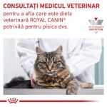 ROYAL CANIN Hypoallergenic, dieta veterinara pisici, alergii alimentare, 400 g (Diete Veterinare - Pisici)