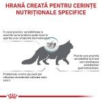 ROYAL CANIN Hypoallergenic, dieta veterinara pisici, alergii alimentare, 400 g (Diete Veterinare - Pisici)
