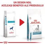 ROYAL CANIN Hypoallergenic, XS-XL, dieta veterinara, hrana uscata caini, alergii alimentare, 7 kg (Diete Veterinare - Caini)