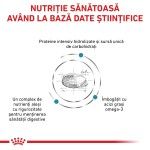 ROYAL CANIN Hypoallergenic, XS-XL, dieta veterinara, hrana uscata caini, alergii alimentare, 7 kg (Diete Veterinare - Caini)