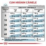 ROYAL CANIN Hypoallergenic, XS-XL, dieta veterinara, hrana uscata caini, alergii alimentare, 7 kg (Diete Veterinare - Caini)