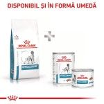 ROYAL CANIN Hypoallergenic, XS-XL, dieta veterinara, hrana uscata caini, alergii alimentare, 7 kg (Diete Veterinare - Caini)