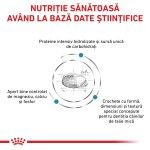 ROYAL CANIN Hypoallergenic Small Dog, XS-S, dieta veterinara, hrana uscata caini, alergii alimentare, 3.5 kg (Diete Veterinare - Caini)