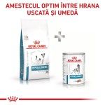 ROYAL CANIN Hypoallergenic Small Dog, XS-S, dieta veterinara, hrana uscata caini, alergii alimentare, 3.5 kg (Diete Veterinare - Caini)