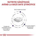 ROYAL CANIN Mature Consult, dieta veterinara pisici senior, 3.5 kg (Diete Veterinare - Pisici)