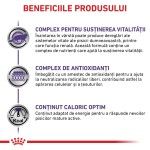 ROYAL CANIN Mature Consult, dieta veterinara pisici senior, 3.5 kg (Diete Veterinare - Pisici)
