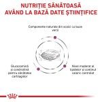 ROYAL CANIN Mobility Support, XS-XL, dieta veterinara, hrana uscata caini, sistem articular, 2 kg (Diete Veterinare - Caini)
