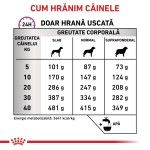 ROYAL CANIN Mobility Support, XS-XL, dieta veterinara, hrana uscata caini, sistem articular, 2 kg (Diete Veterinare - Caini)