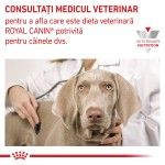 ROYAL CANIN Mobility Support, XS-XL, dieta veterinara, hrana uscata caini, sistem articular, 2 kg (Diete Veterinare - Caini)