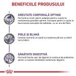 ROYAL CANIN Neutered Adult Medium Dog, dieta veterinara, hrana uscata caini, 3.5 kg (Diete Veterinare - Caini)