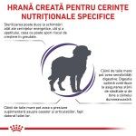 ROYAL CANIN Neutered Adult Large Dog, L-XL, dieta veterinara, hrana uscata caini, 12 kg (Diete Veterinare - Caini)