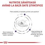 ROYAL CANIN Neutered Adult Large Dog, L-XL, dieta veterinara, hrana uscata caini, 12 kg (Diete Veterinare - Caini)