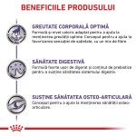 ROYAL CANIN Neutered Adult Large Dog, L-XL, dieta veterinara, hrana uscata caini, 12 kg (Diete Veterinare - Caini)
