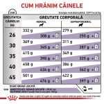 ROYAL CANIN Neutered Adult Large Dog, L-XL, dieta veterinara, hrana uscata caini, 12 kg (Diete Veterinare - Caini)