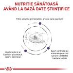 ROYAL CANIN Neutered Adult Small Dog, XS-S, dieta veterinara, hrana uscata caini, 1.5 kg (Diete Veterinare - Caini)