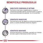 ROYAL CANIN Neutered Adult Small Dog, XS-S, dieta veterinara, hrana uscata caini, 1.5 kg (Diete Veterinare - Caini)