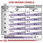 ROYAL CANIN Neutered Adult Small Dog, XS-S, dieta veterinara, hrana uscata caini, 8 kg (Diete Veterinare - Caini)