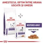 ROYAL CANIN Neutered Adult Small Dog, XS-S, dieta veterinara, hrana uscata caini, 8 kg (Diete Veterinare - Caini)