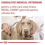 ROYAL CANIN Neutered Adult Small Dog, XS-S, dieta veterinara, hrana uscata caini, 8 kg (Diete Veterinare - Caini)