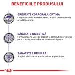 ROYAL CANIN Neutered Weight Balance, dieta veterinara pisici, managementul greutatii, 85 g (Diete Veterinare - Pisici)