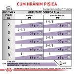 ROYAL CANIN Neutered Weight Balance, dieta veterinara pisici, managementul greutatii, 85 g (Diete Veterinare - Pisici)