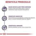 ROYAL CANIN Neutered Maintenance, dieta veterinara pisici, managementul greutatii, 85 g (Diete Veterinare - Pisici)