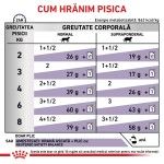 ROYAL CANIN Neutered Maintenance, dieta veterinara pisici, managementul greutatii, 85 g (Diete Veterinare - Pisici)